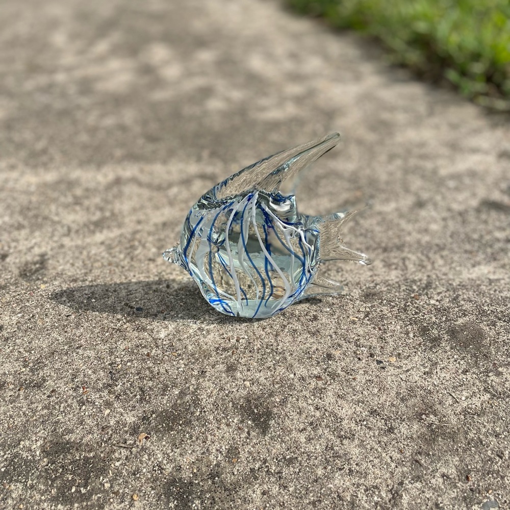 Glass Fish - Picture 3 of 11